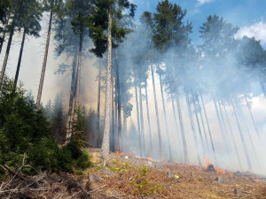 Hasiči likvidovali požár v armádním prostoru Hradiště, hořela tráva a porost v prostoru dopadu cvičných střel