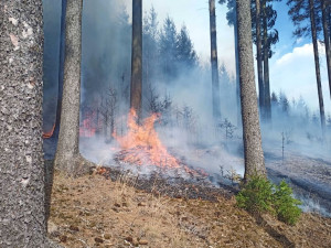 Hasiči likvidovali požár v armádním prostoru Hradiště, hořela tráva a porost v prostoru dopadu cvičných střel