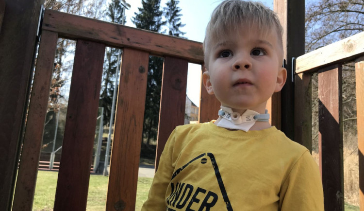 Už když se František narodil, měl žlučové kameny. Potýká se však i s řadou vážnějších zdravotních problémů.