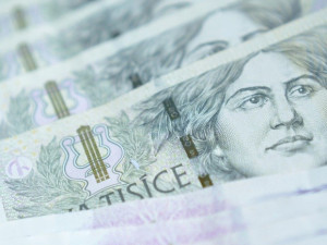 Plat řadového zákonodárce by mohl příští rok vzrůst o 11 600 korun na 102 400 korun