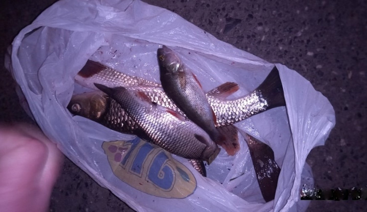 Noční rybaření v centru Karlových Varů ukončil až příjezd hlídky městské policie