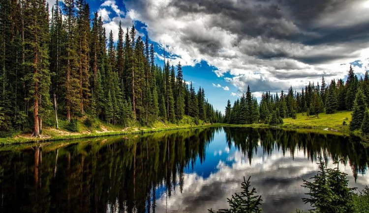 Karlovarský kraj dá letos na boj se suchem pět milionů korun, zájem je velký
