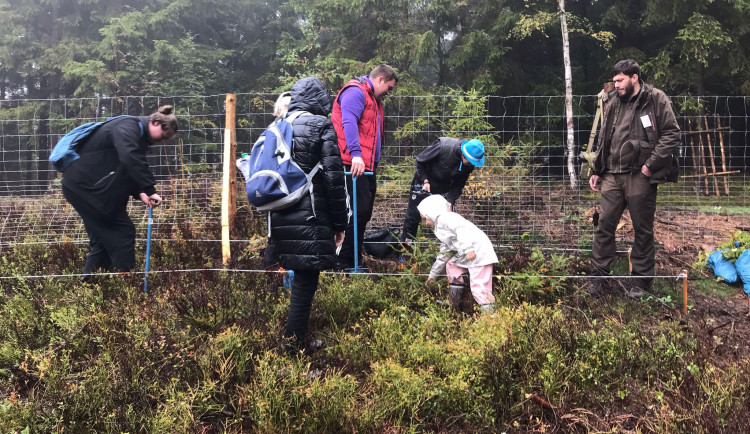 Přes 100 lidí přijelo na Sokolovsku podpořit Den za obnovu lesů