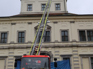 Experti upravovali čapí hnízdo na budově galerie knihovny uprostřed nádherného parku