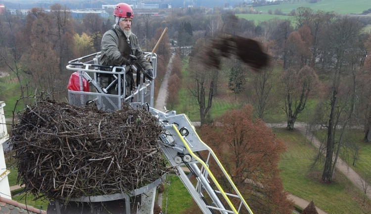 Experti upravovali čapí hnízdo na budově galerie knihovny uprostřed nádherného parku