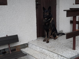 Karlovarští policisté se zaměřili na kontrolu chatových oblastí a zahrádkářských kolonií