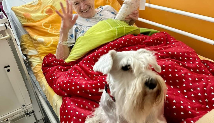 Pacienty sokolovské nemocnice na Štědrý večer dojala psí návštěva