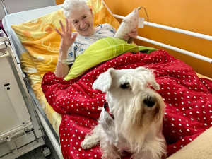 Pacienty sokolovské nemocnice na Štědrý večer dojala psí návštěva