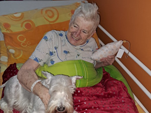 Pacienty sokolovské nemocnice na Štědrý večer dojala psí návštěva