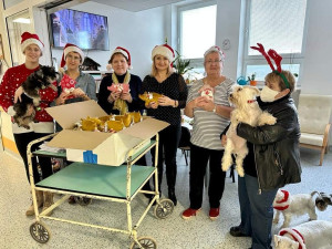 Pacienty sokolovské nemocnice na Štědrý večer dojala psí návštěva
