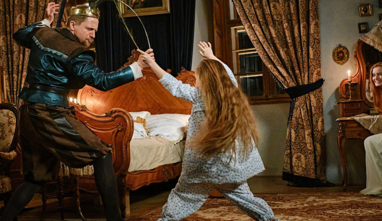 ANKETA: Jak se vám líbila nová štědrovečerní pohádka?