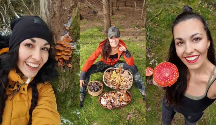 Česko letos zažívalo houbařské žně, říká populární Šumavská houbička. K návštěvě lesa inspiruje tisíce lidí