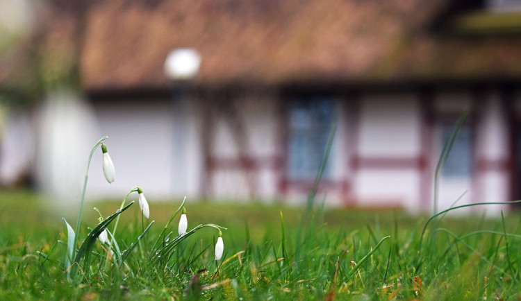 V týdnu může sněžit, ale teploty vystoupají až na 10 stupňů nad nulou