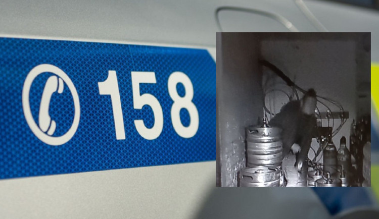 Řidič v Brně utekl po bouračce. Našli ho mezi sudy s pivem