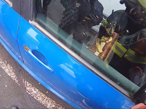 Pejsek zůstal uvězněný uvnitř automobilu, majiteli nešel vůz klíčkem odemknout