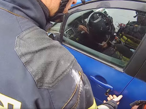 Pejsek zůstal uvězněný uvnitř automobilu, majiteli nešel vůz klíčkem odemknout