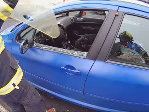 Pejsek zůstal uvězněný uvnitř automobilu, majiteli nešel vůz klíčkem odemknout
