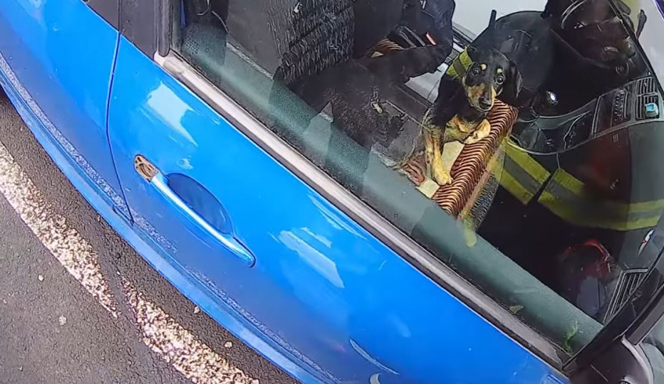 Pejsek zůstal uvězněný uvnitř automobilu, majiteli nešel vůz klíčkem odemknout