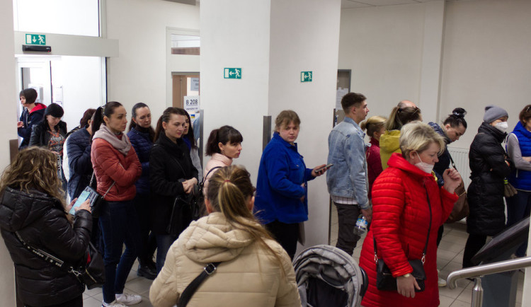 Uprchlíci z Ukrajiny v Karlovarském kraji mají zájem o kurzy zvyšování kvalifikace