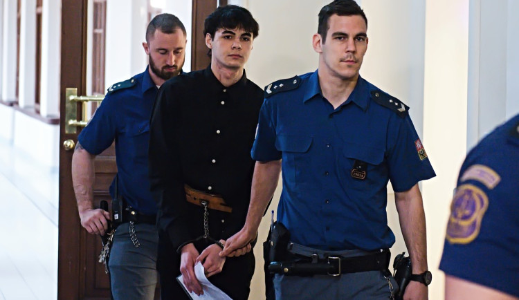 Mladík, který v Brně zavraždil ženu a pobodal dva lidi, dostal přes osmnáct let vězení