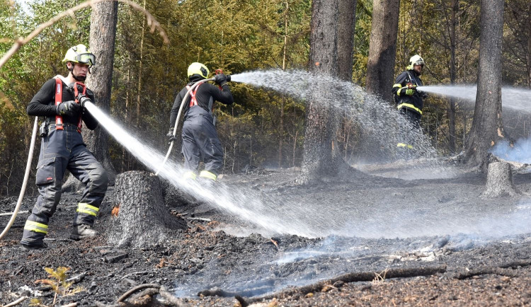 Zmapovat rizikové oblasti, kde hrozí masivní lesní požáry, chce Karlovarský kraj