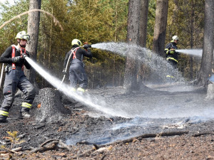 Zmapovat rizikové oblasti, kde hrozí masivní lesní požáry, chce Karlovarský kraj
