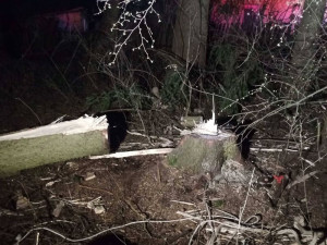 Hasiči odstraňovali strom, který hrozil pádem na dům. Ve stejný okamžik začalo v tom samém domě hořet