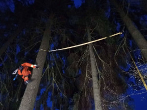 Hasiči odstraňovali strom, který hrozil pádem na dům. Ve stejný okamžik začalo v tom samém domě hořet