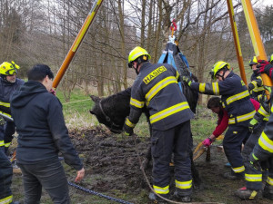 Hasiči znovu bojovali o život koně, který uvízl ve špatně přístupném terénu. I tentokrát zvíře nepřežilo
