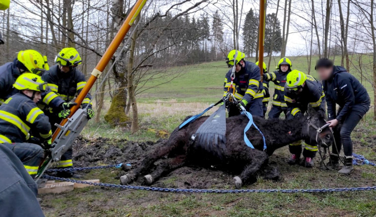 Hasiči znovu bojovali o život koně, který uvízl ve špatně přístupném terénu. I tentokrát zvíře nepřežilo