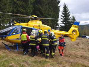Dělníka v lese zavalila padající kláda, muž utrpěl těžká zranění