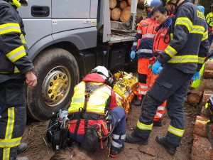 Dělníka v lese zavalila padající kláda, muž utrpěl těžká zranění