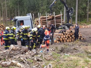 Dělníka v lese zavalila padající kláda, muž utrpěl těžká zranění