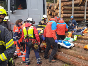 Dělníka v lese zavalila padající kláda, muž utrpěl těžká zranění
