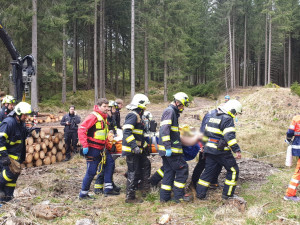 Dělníka v lese zavalila padající kláda, muž utrpěl těžká zranění