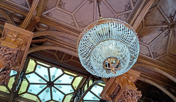 339290133_234559732428136_8404989187460050704_n