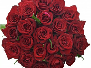 Soutěž o poukázku v hodnotě 500 korun na nákup květin na eshopu Florea.cz. Vyberte si ke Dni matek z pestré nabídky čerstvých květin