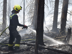 Hasiči v noci našli několik skrytých ohnisek na místě lesního požáru u Bublavy