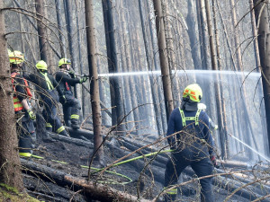 Hasiči v noci našli několik skrytých ohnisek na místě lesního požáru u Bublavy