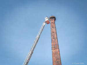 Hasiči zachraňovali z komína v Teplé dvě osiřelá čapí mláďata, bez pomoci by uhynula