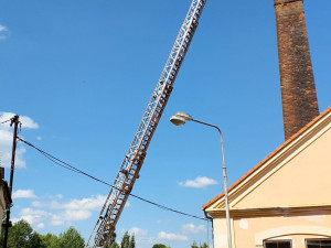 Hasiči zachraňovali z komína v Teplé dvě osiřelá čapí mláďata, bez pomoci by uhynula