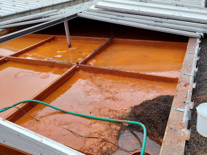 Wetland v Hájku na Karlovarsku