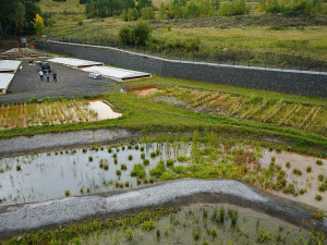 Wetland v Hájku na Karlovarsku