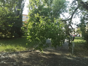 Očekávaná bouře na západ Čech naštěstí neudeřila plnou silou. Meteorologové vysvětlují, proč se výstraha nenaplnila