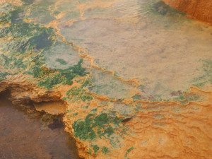 Krasavec před karlovarským Vřídlem bude vznikat postupně působením minerální vody