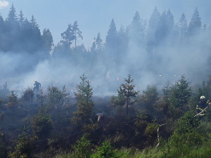 V okolí Šindelové na Sokolovsku hoří les, hasí se i ze vzduchu