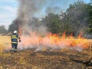 Hasiči v Karlovarském kraji likvidovali za víkend dvacítku požárů porostů