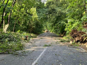 Popadané stromy kvůli bouřce v Karlových Varech uzavřely ulici Slovenskou