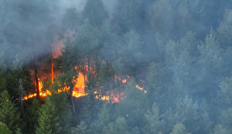 Velký požár lesa na Sokolovsku. V neděli ráno hasiči dohašovali skrytá ohniska