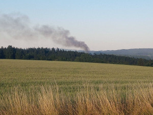 Hasiči uhasili požár lesa na Sokolovsku a povolali na místo revírníka